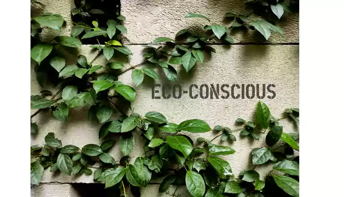 Let's Go Green: 3 easy ways to live an eco-friendly lifestyle